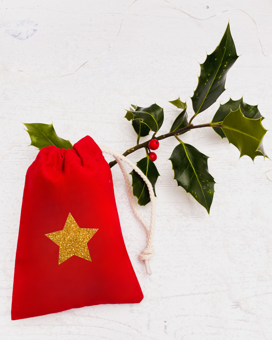 Gold Star Christmas Party & Table Gift Favour Bag